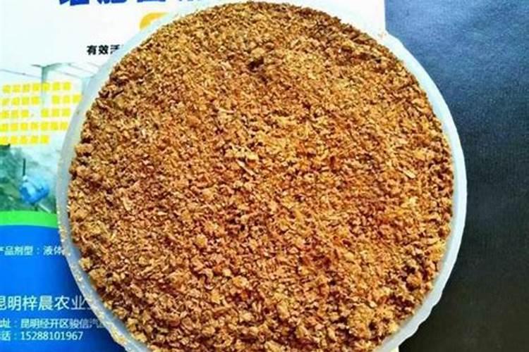 樱桃十月份能追肥吗