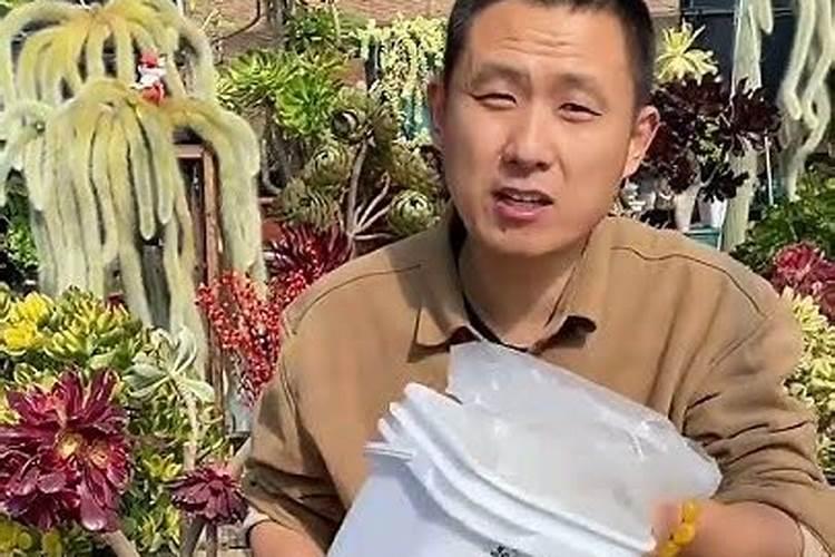 多肉可以施复合肥吗