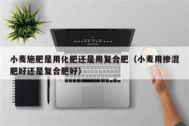 老师们你们好,一铵和二铵的区别在哪里？哪个好点!!谢谢
