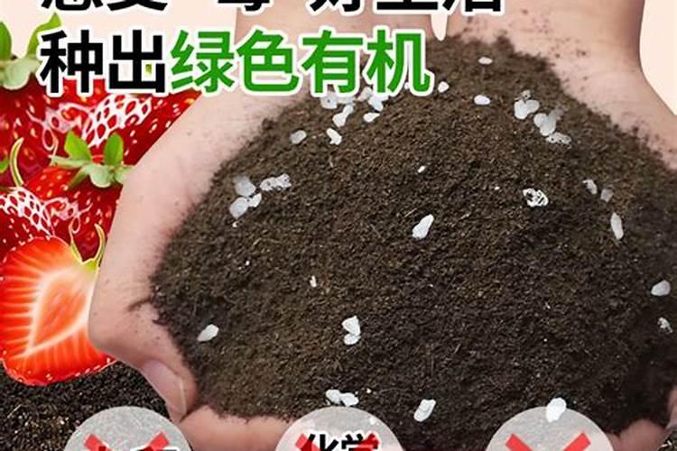 水田除了种水稻还能种啥