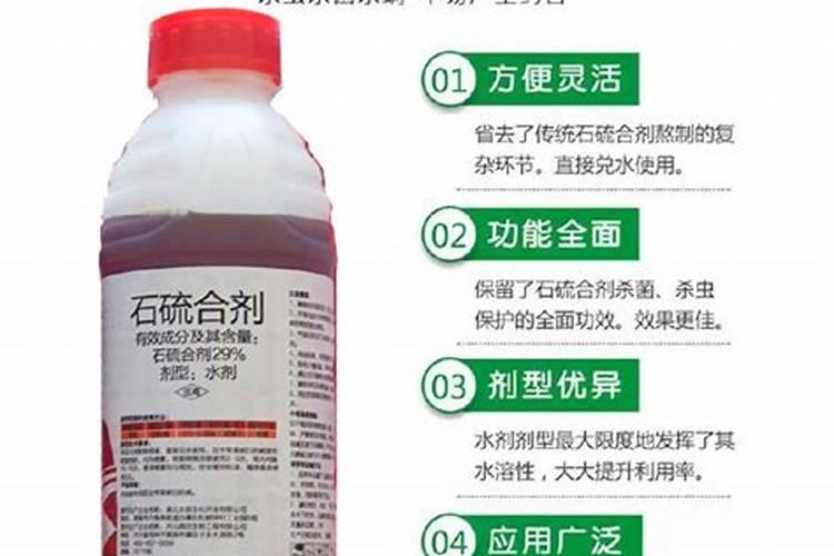 葡萄清园一般什么时候 葡萄清园可以打波尔多液吗