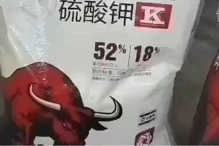 小麦什么时候浇水好