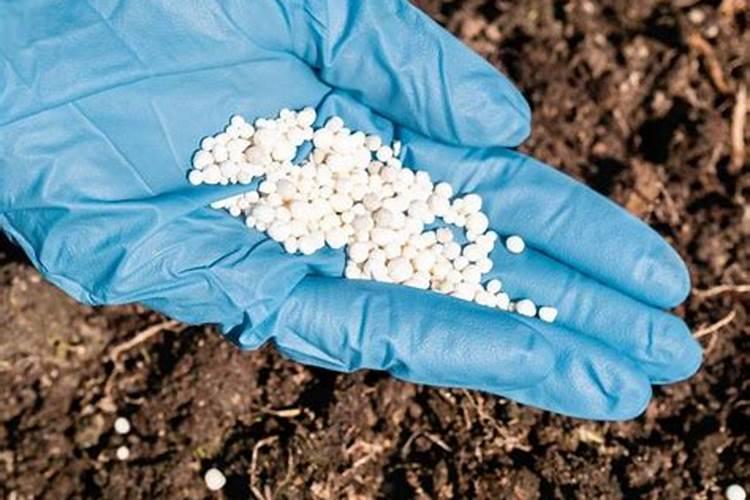 请问水果代销是什么