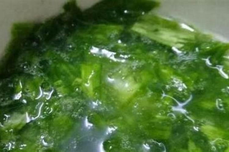 微生物菌剂的兑水比例是多少