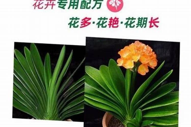 山楂树防虫害多功能肥料的配方是怎样的？