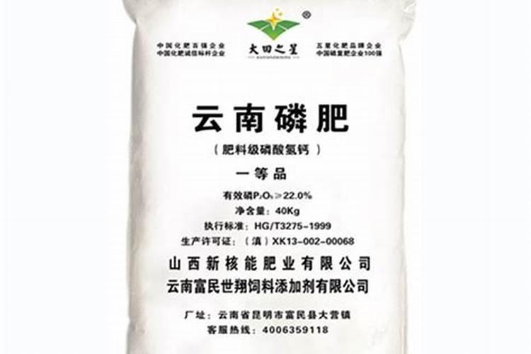 长寿花夏天能施肥吗 长寿花夏季是否可以施肥