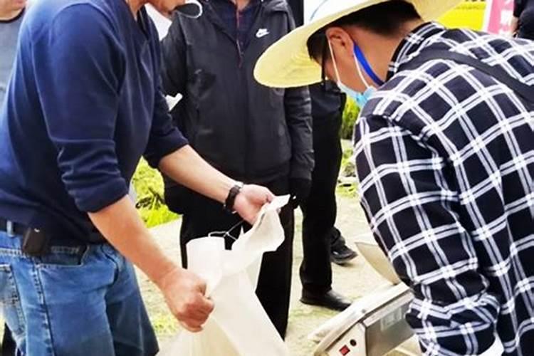 大理为啥会存在这么多苍蝇呀？