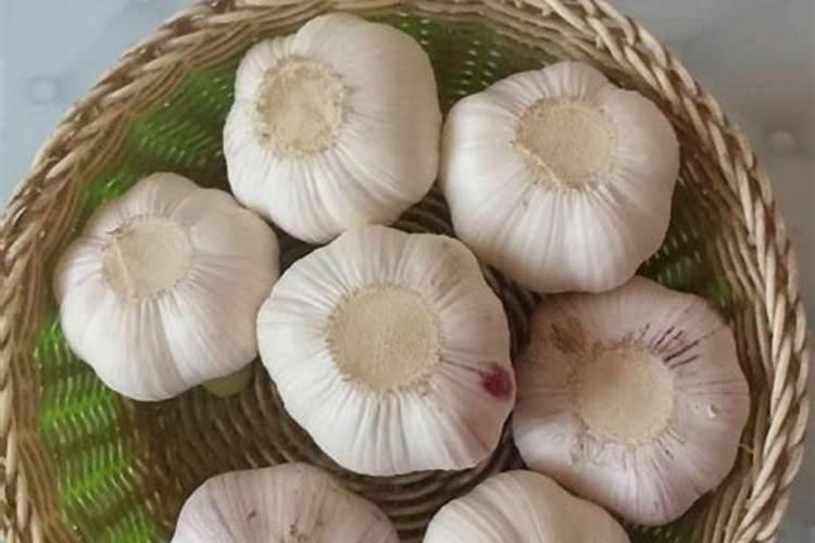 大蒜专用什么肥料