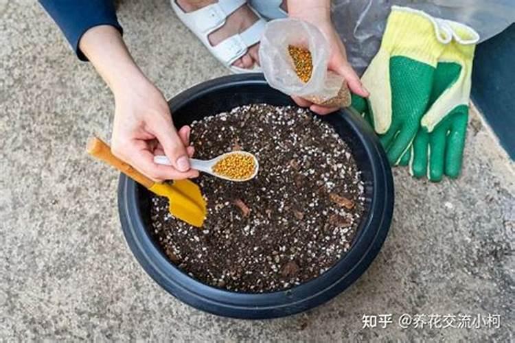 水溶肥执行标准是什么？