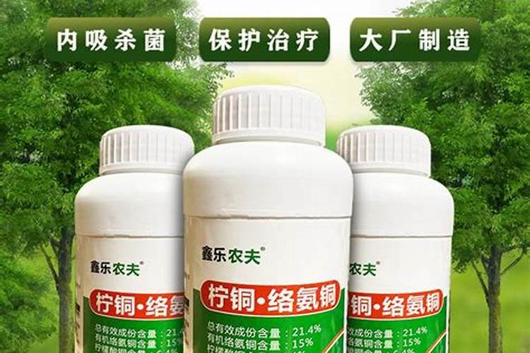 大姜烂脖子病,发生了怎么办呢