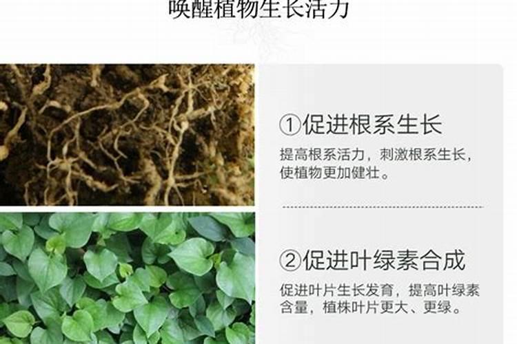 养花,2块钱一斤的肥料能用吗？用了之后会不会对花有危害？