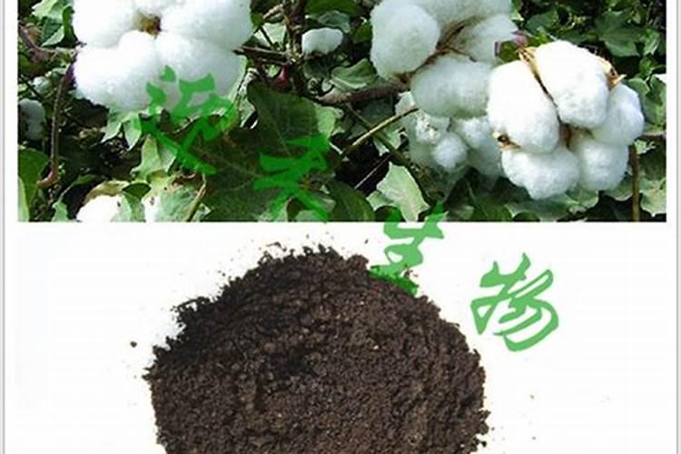 桃树和果树怎么配比氮磷钾