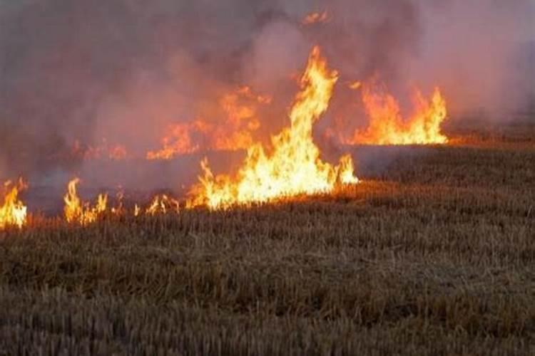 区别氮磷钾化肥时,灼烧氮磷钾肥的现象