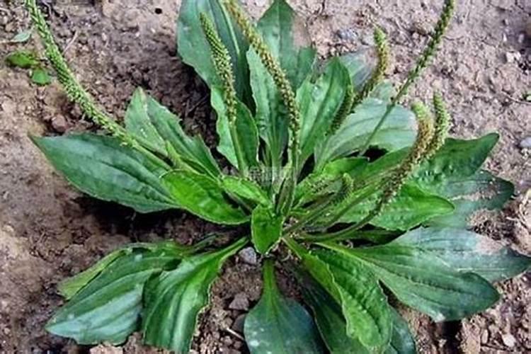 秋季宝宝腹泻了应该怎么做