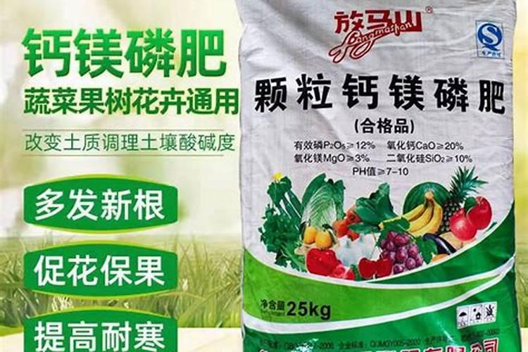 什么菜补镁和磷肥效果好一点？