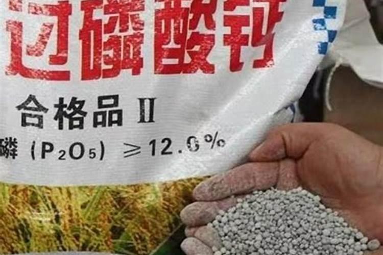 什么肥属于磷肥