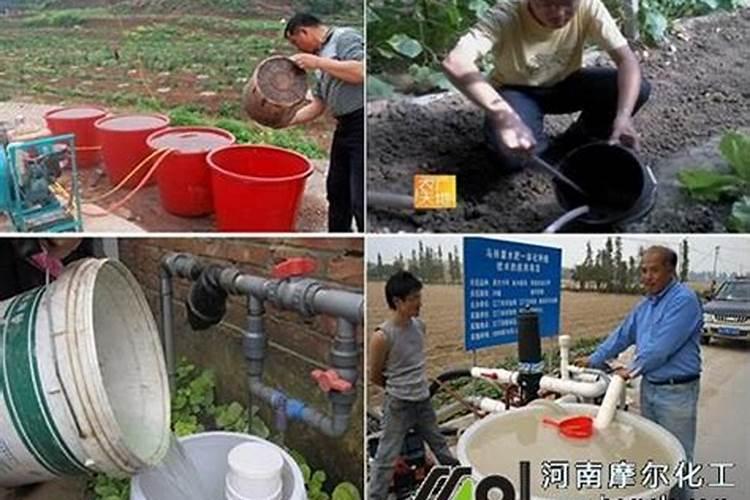 斤水溶肥兑多少水