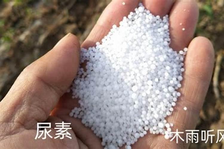 用尿素做叶面肥应怎样配比呢？