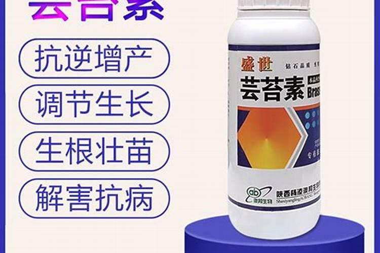玉米打完芸苔素后几天还能打第二遍？