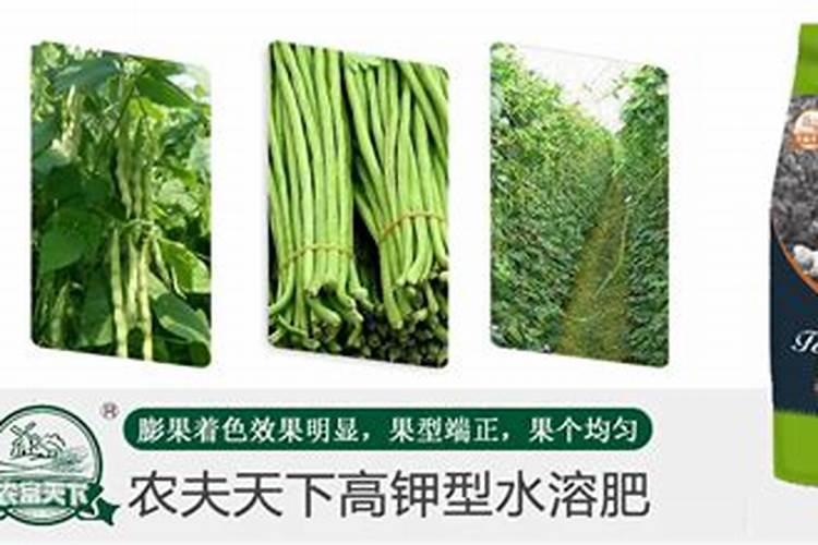 水溶肥对豆角好处有哪些？