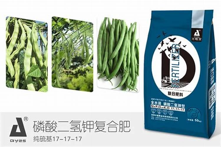 豆角可以使用水溶肥吗？