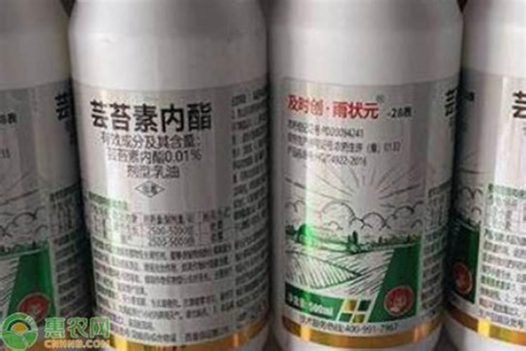 给西瓜打芸苔素14还是24好用？
