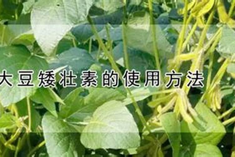 大豆需要什么肥料,大豆是粮食作物还是经济作物