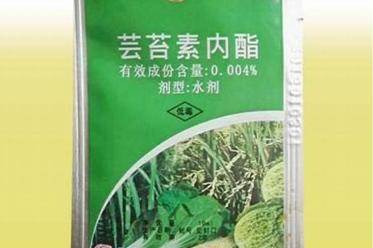 火龙果用芸苔素能催芽吗怎么用？