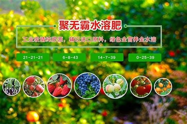 水溶肥的前十名