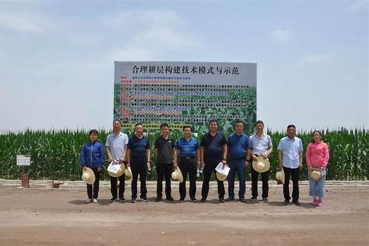 白银市靖远县水溶肥批发零售店