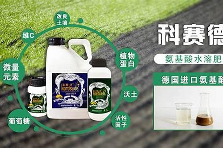 水溶肥哪种最好用最安全？
