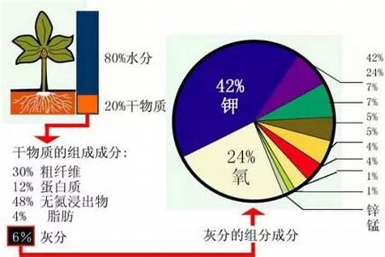 化肥中主要的营养元素有哪些