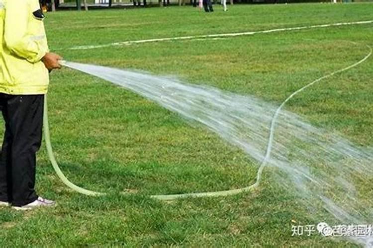 草坪夏天可以施肥吗