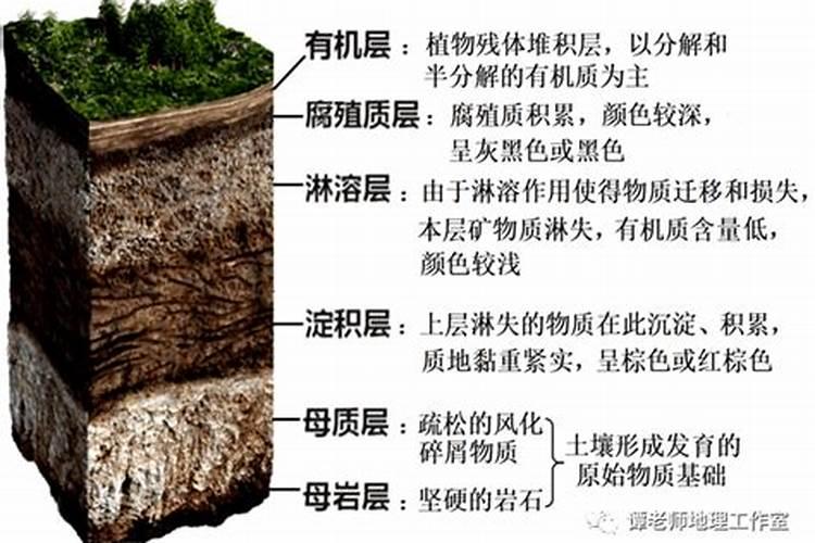 有机质和腐殖质的区别
