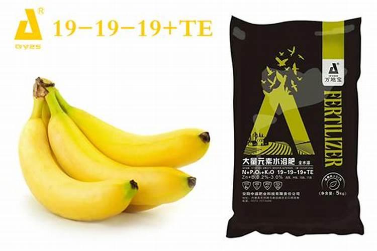 香蕉提苗用什么肥最好呢？