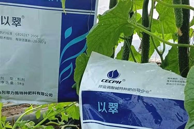 水溶性肥料适合在哪些地方用？