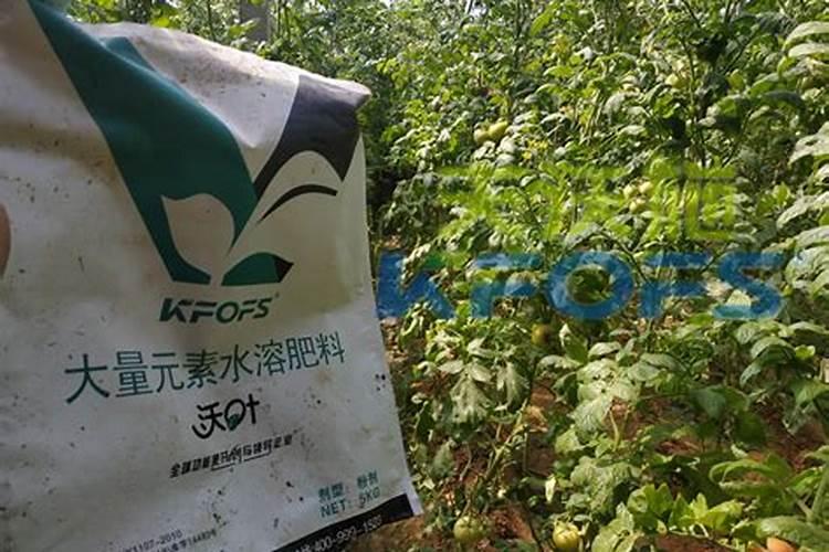 农技 ▌为什么要选择水溶肥？水溶肥有什么好