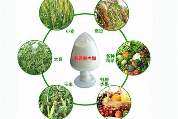 土豆能打芸苔素吗