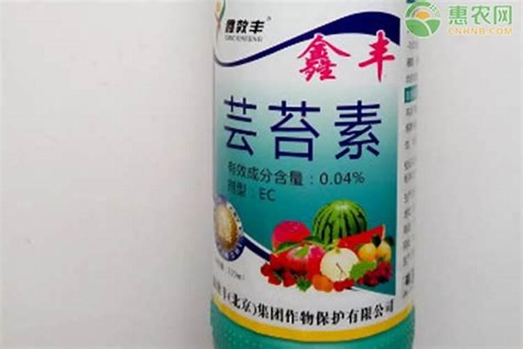 大樱桃喷芸苔素的好处与坏处