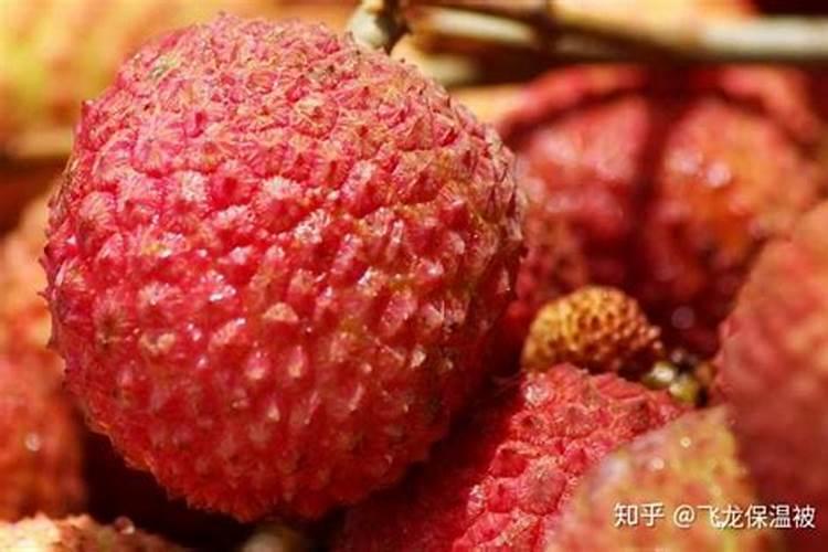 荔枝施磷钾肥用量多少？