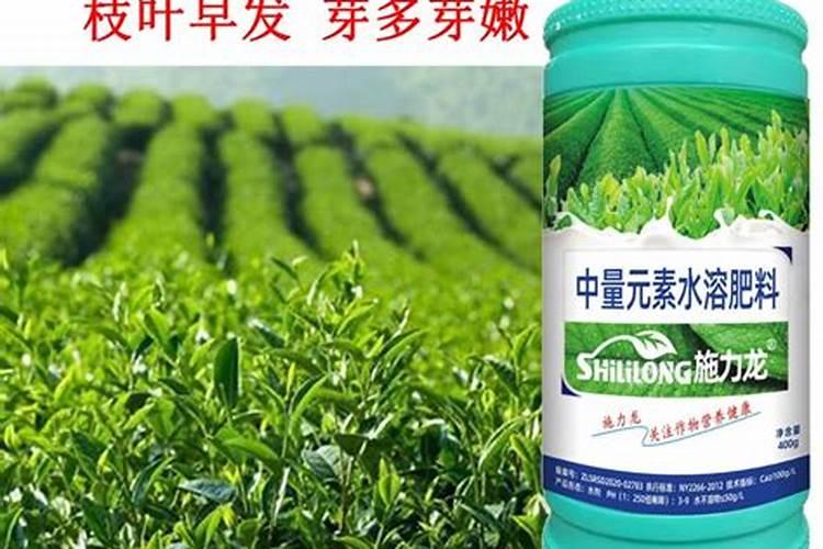 襄阳茶叶叶面肥生产厂家有哪些？