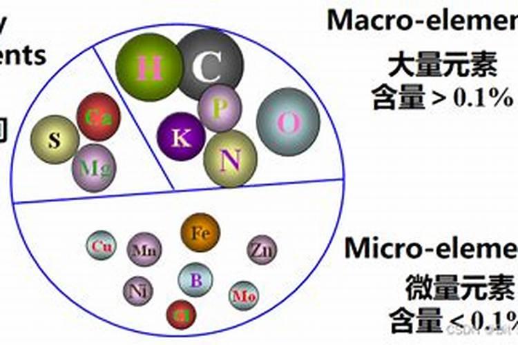 中量元素五种分类方法是什么呢？