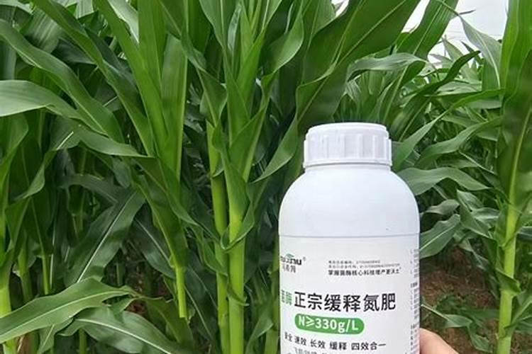 玉米种植氮肥要求多少斤合适？