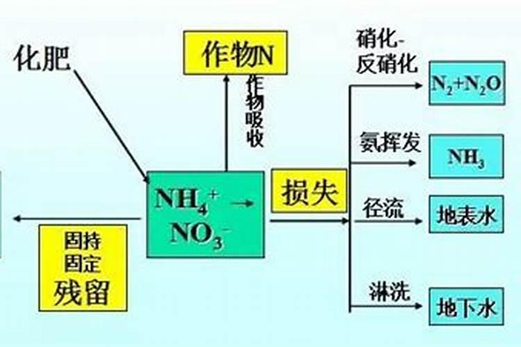 [提高氮肥有效利用率七法]提高氮肥利用率的意义