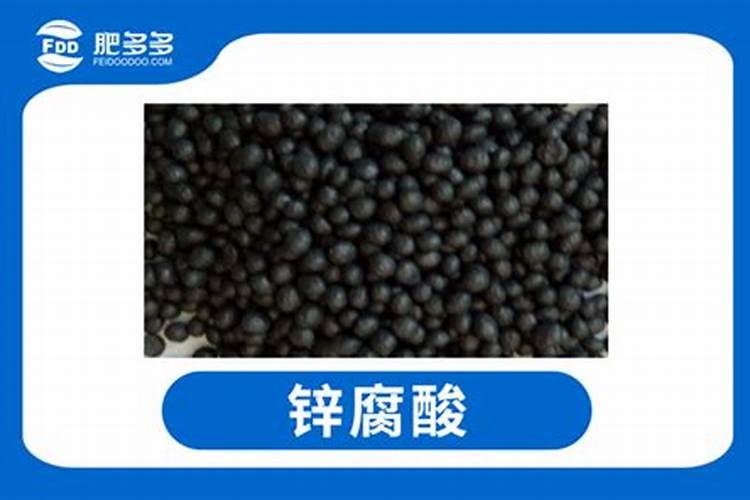 氮肥深施什么深度最好呢？