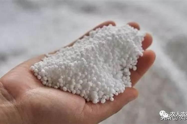 氮肥怎么用对植物好