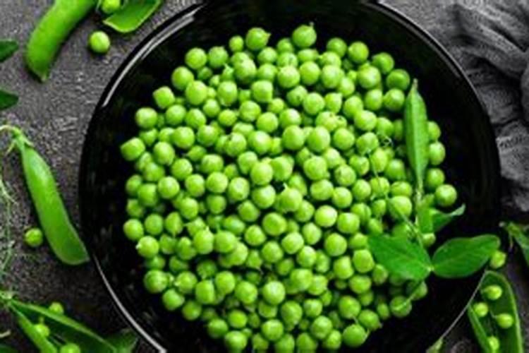 豌豆种植时间是什么时候？