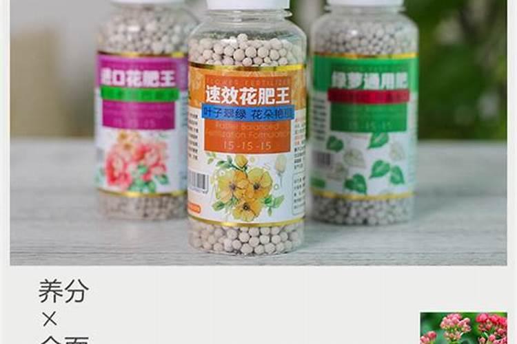 一般性通用型全元素速效复合肥24克可以兑多少水才能浇花