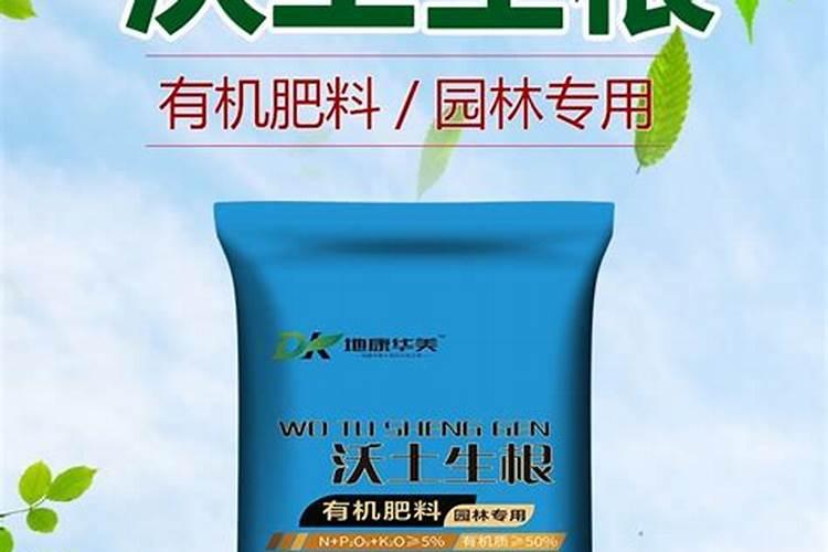 生根壮根的肥料有哪些
