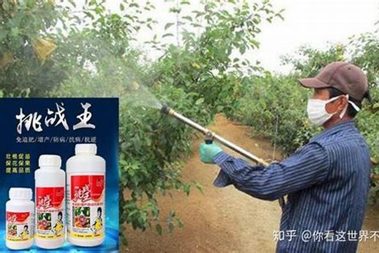 给果树喷施叶面肥的方法有哪些？